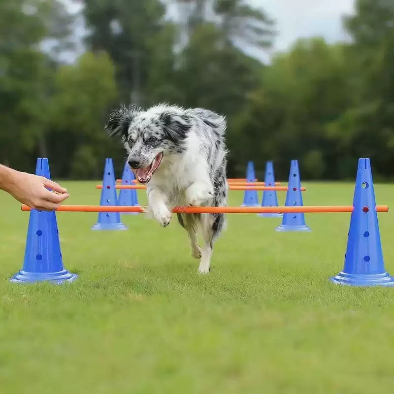 Agility Hurdle Set - Set Ostacoli per Agility Canina da