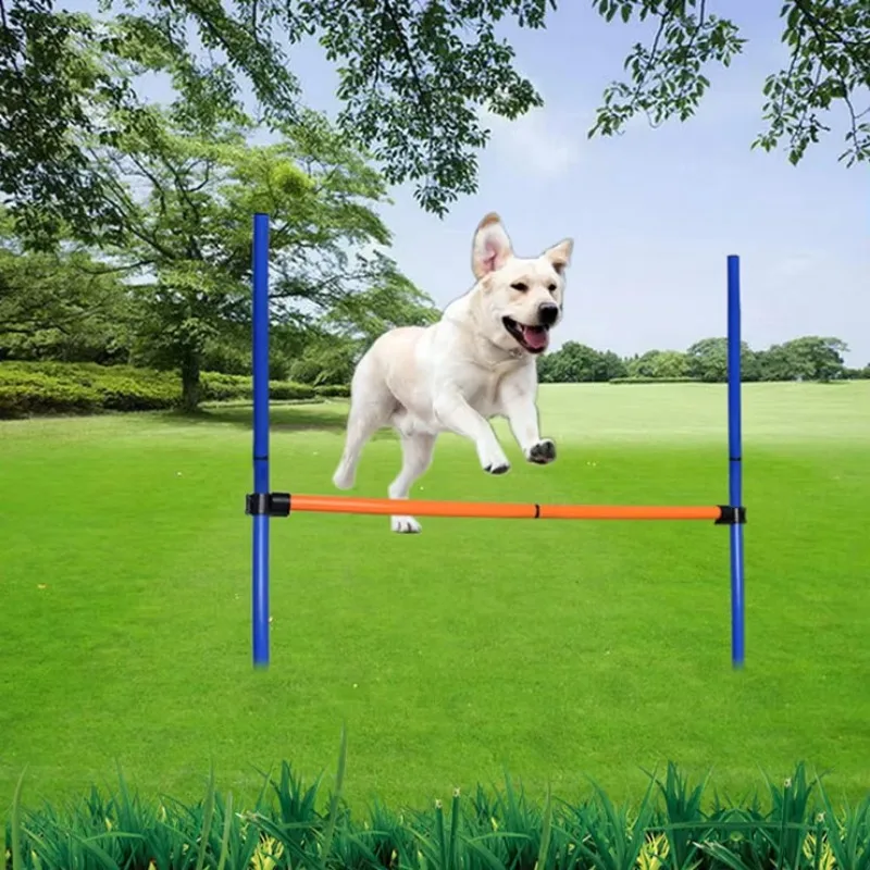 attrezzatura per l'addestramen - Agility Hurdle Set recensione e prezzo