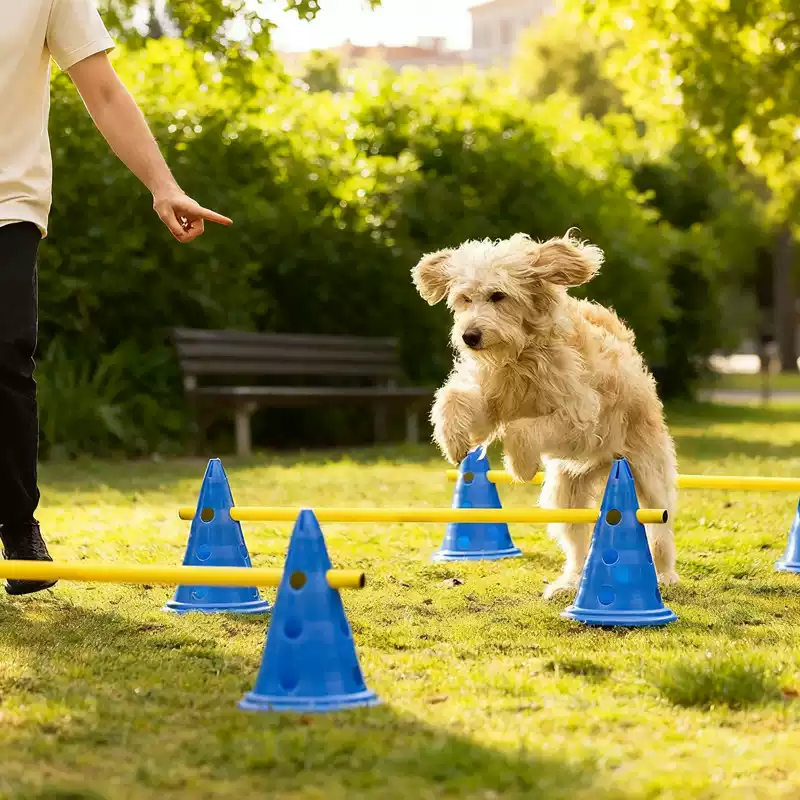 Set Ostacoli per Agility Canin - Agility Hurdle Set recensione e prezzo