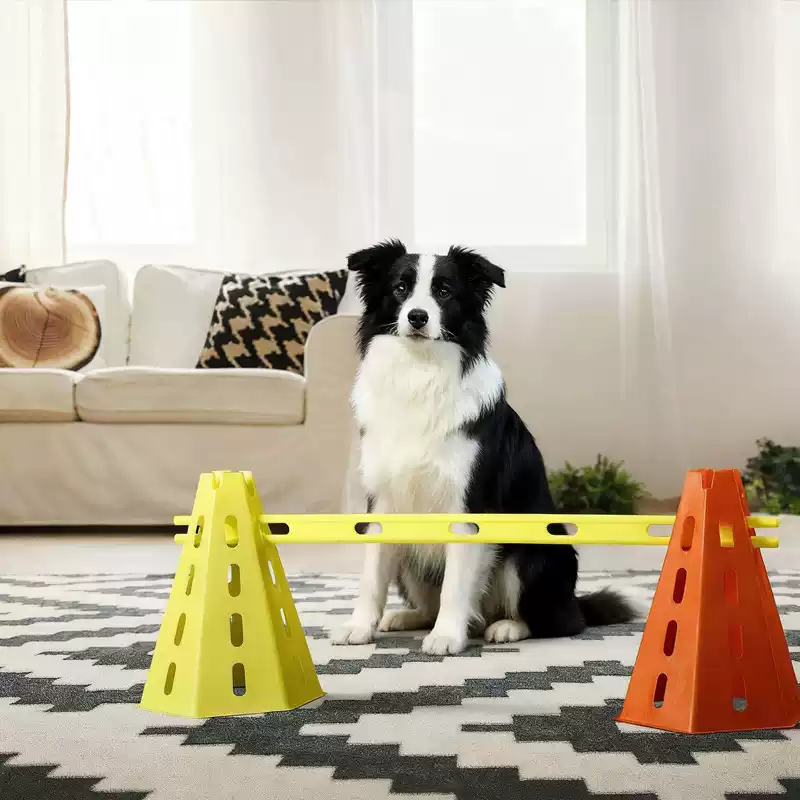 Set Ostacoli per Agility Canin - Agility Hurdle Set recensione e prezzo