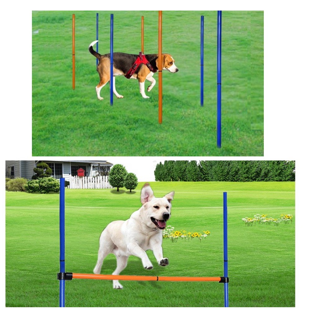 Kit di attrezzature per agilit - Agility Hurdle Set recensione e prezzo
