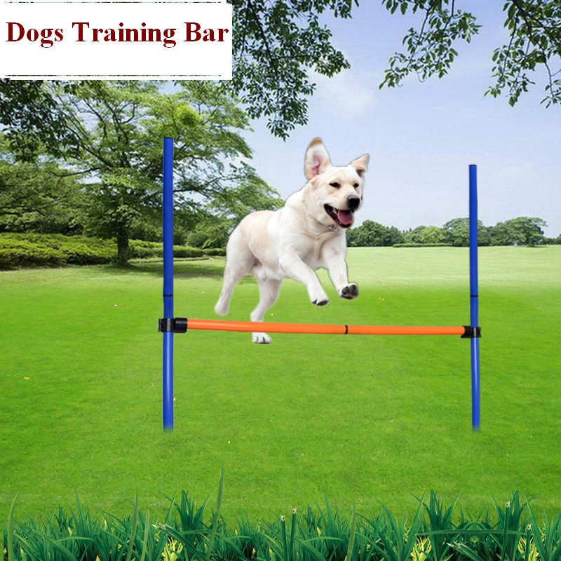 Kit di attrezzature per agilit - Agility Hurdle Set recensione e prezzo