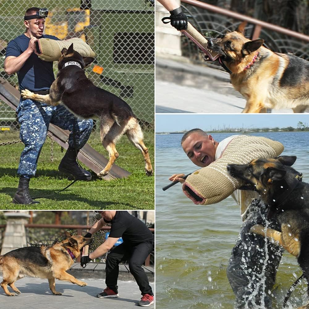 Set di Guanti da Addestramento - Agility Hurdle Set recensione e prezzo