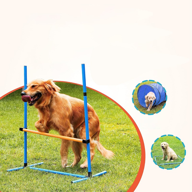 Amazon Attrezzatura per l'adde - Agility Hurdle Set recensione e prezzo