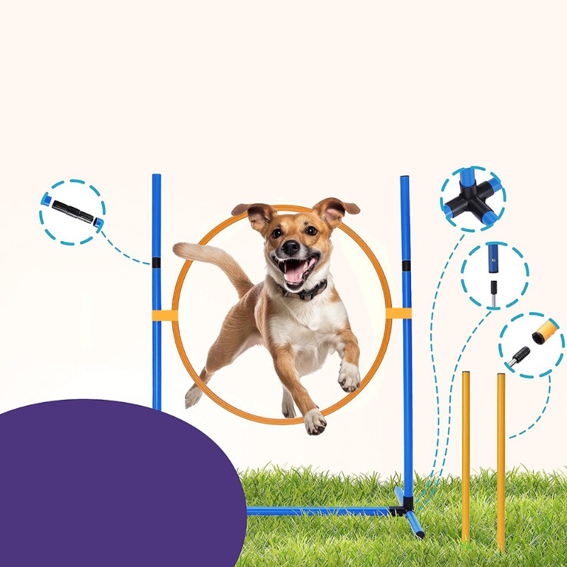 Amazon Attrezzatura per l'adde - Agility Hurdle Set recensione e prezzo