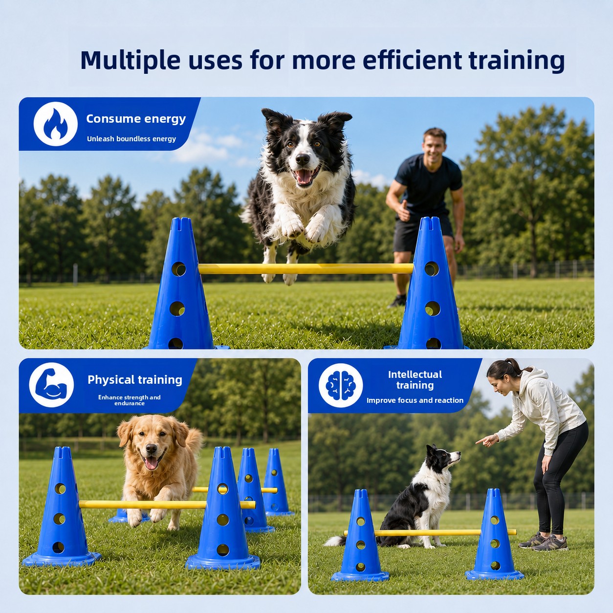 Set di Allenamento per Cani ZH - Agility Hurdle Set recensione e prezzo